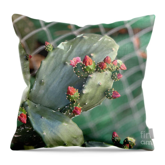 Velvet Cactus - Throw Pillow