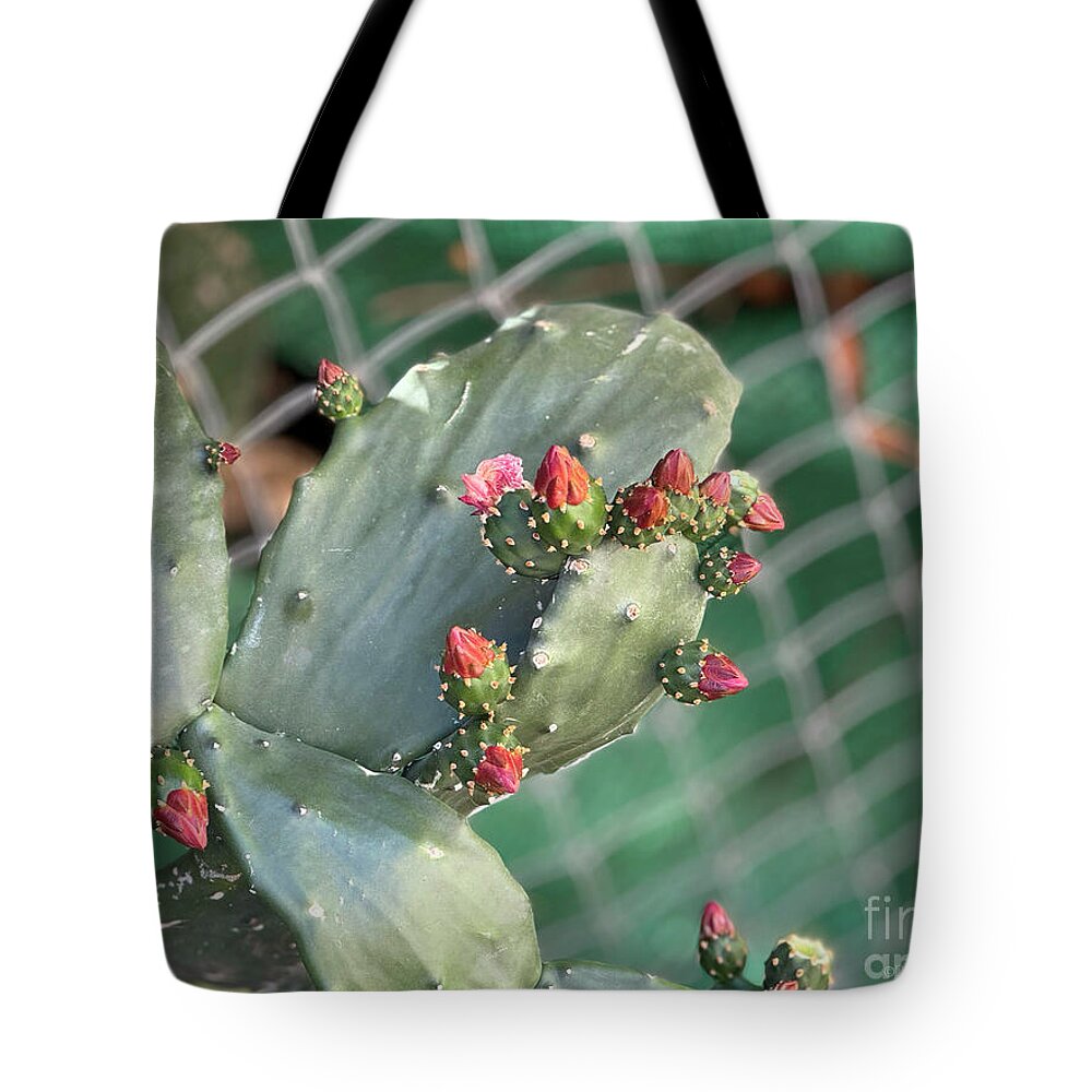 Velvet Cactus - Tote Bag