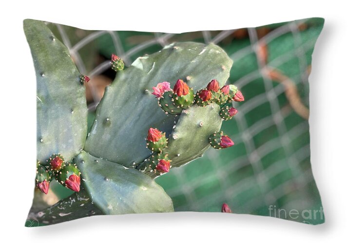 Velvet Cactus - Throw Pillow