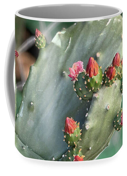 Velvet Cactus - Mug