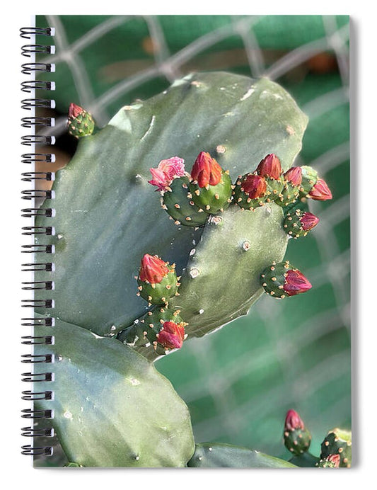 Velvet Cactus - Spiral Notebook