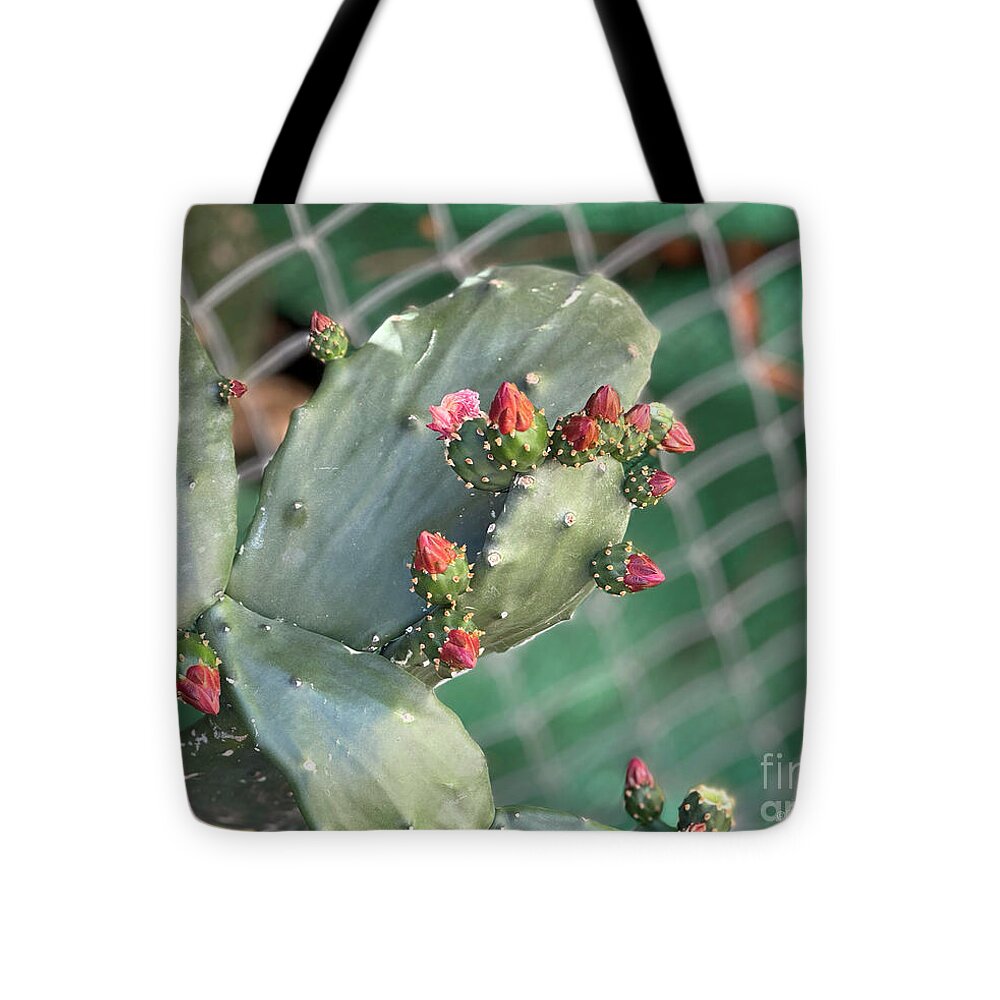 Velvet Cactus - Tote Bag