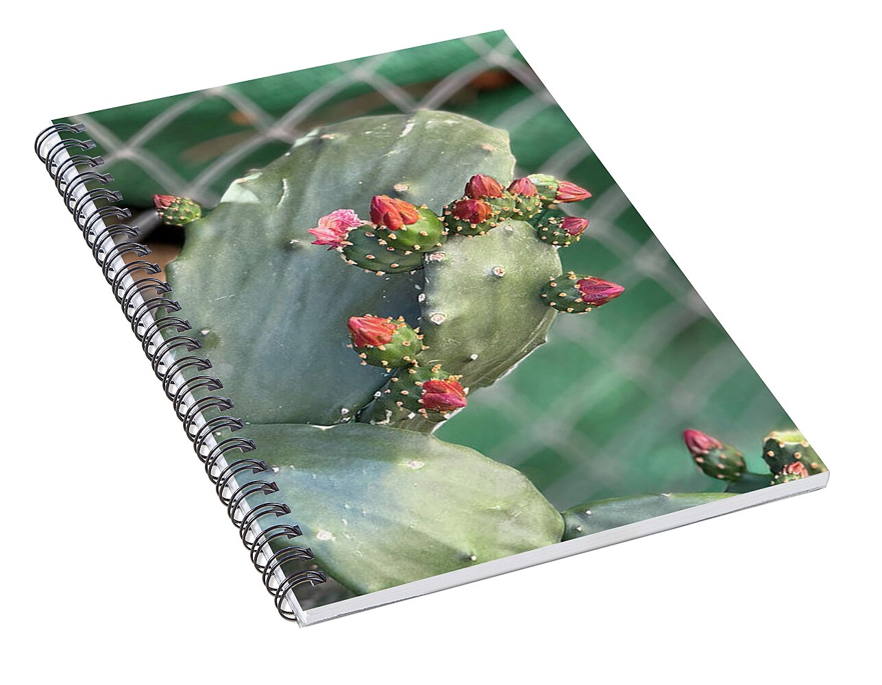 Velvet Cactus - Spiral Notebook