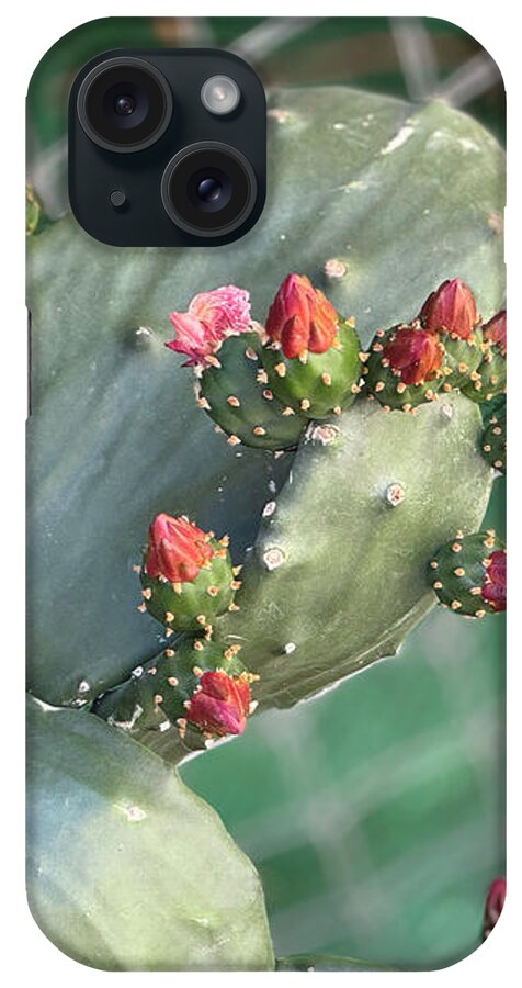 Velvet Cactus - Phone Case