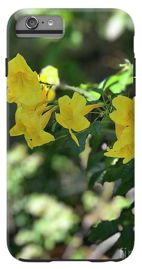 Yellow Bells - Phone Case