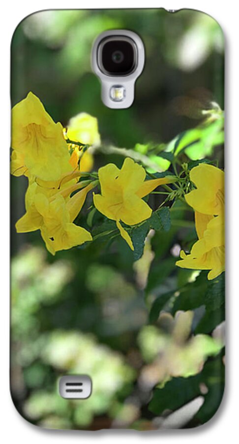 Yellow Bells - Phone Case