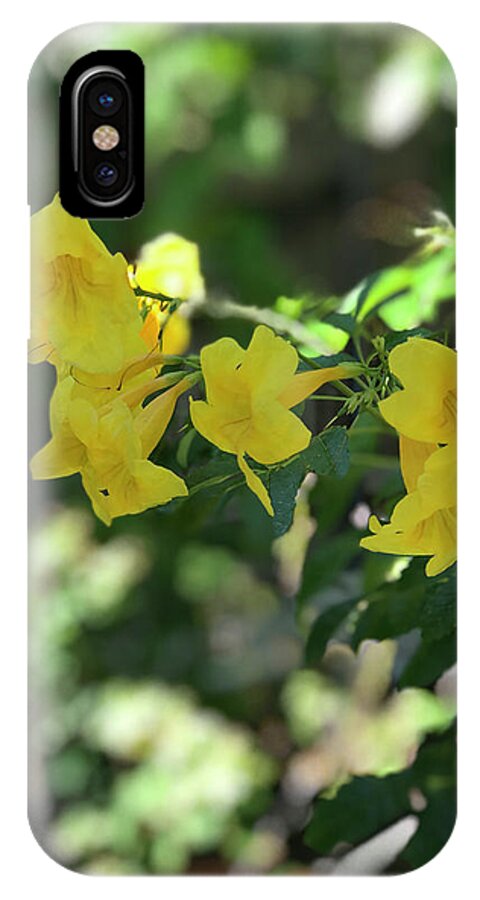 Yellow Bells - Phone Case