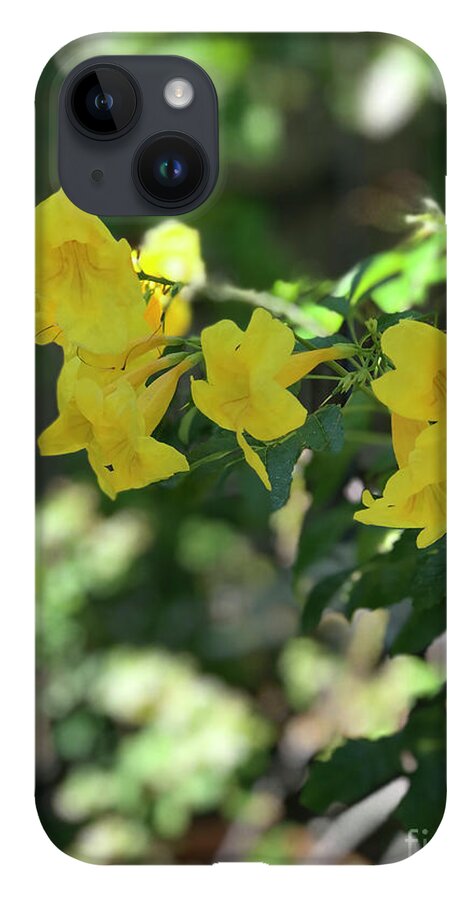 Yellow Bells - Phone Case