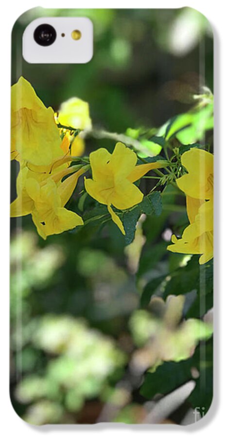 Yellow Bells - Phone Case