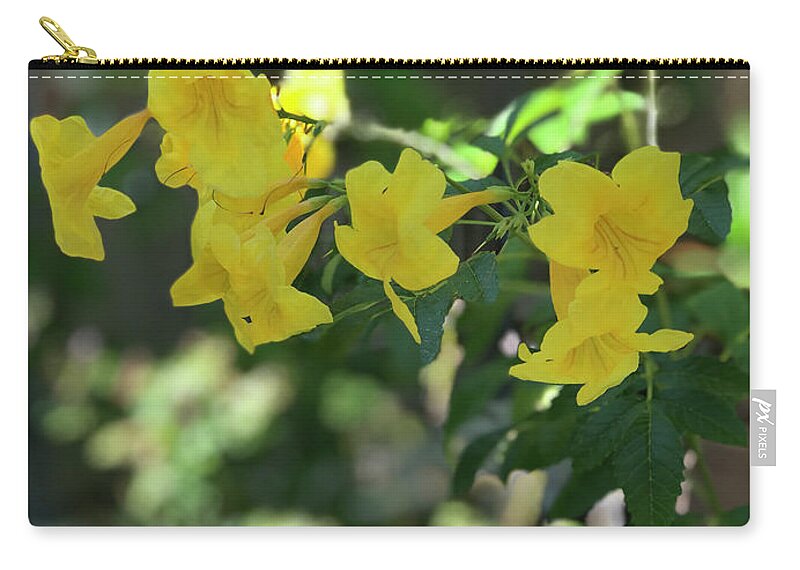 Yellow Bells - Zip Pouch