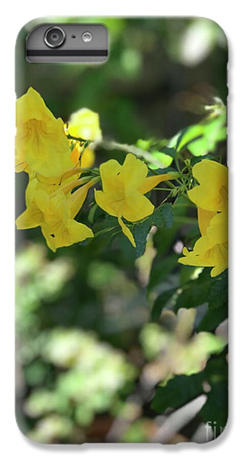 Yellow Bells - Phone Case