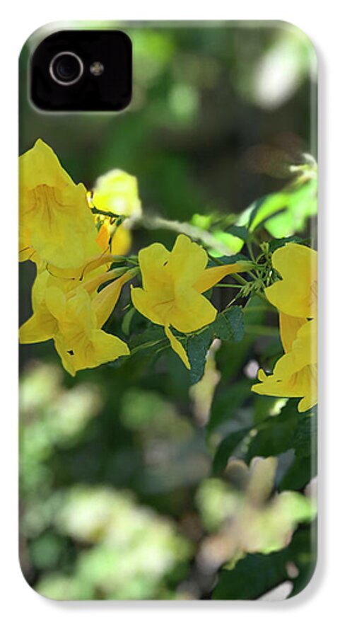 Yellow Bells - Phone Case