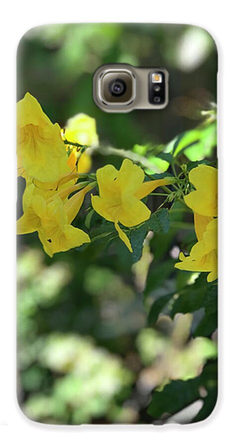 Yellow Bells - Phone Case