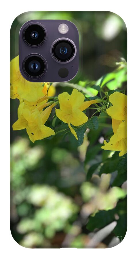 Yellow Bells - Phone Case