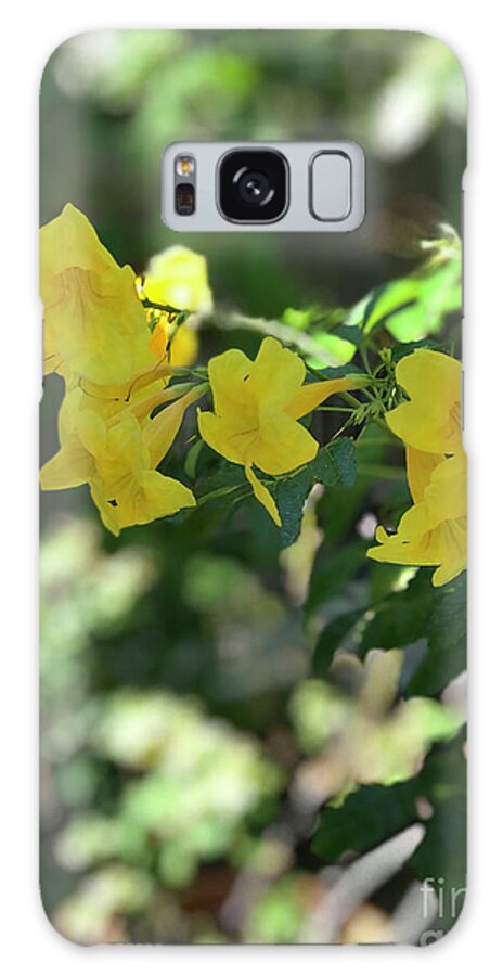 Yellow Bells - Phone Case