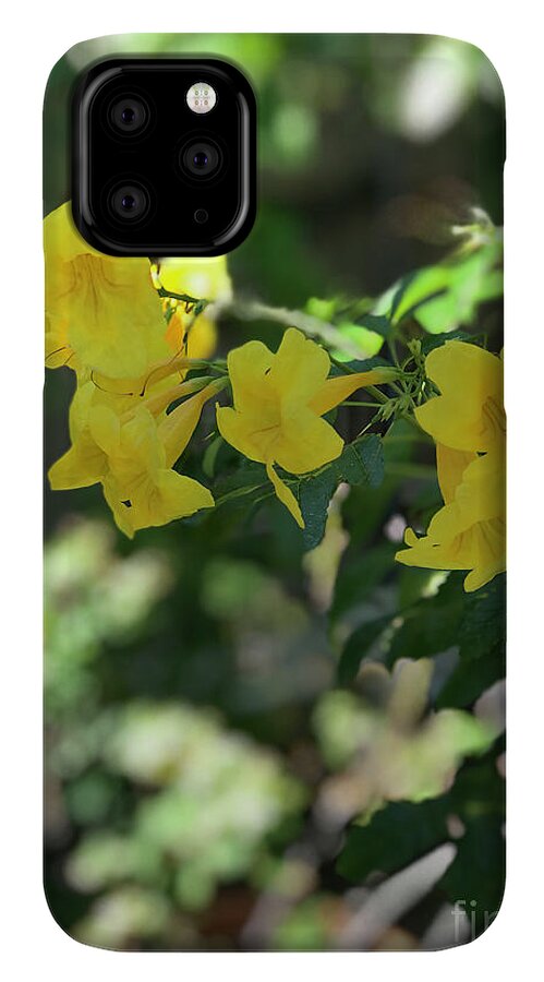 Yellow Bells - Phone Case