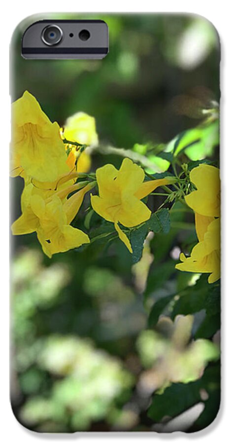 Yellow Bells - Phone Case