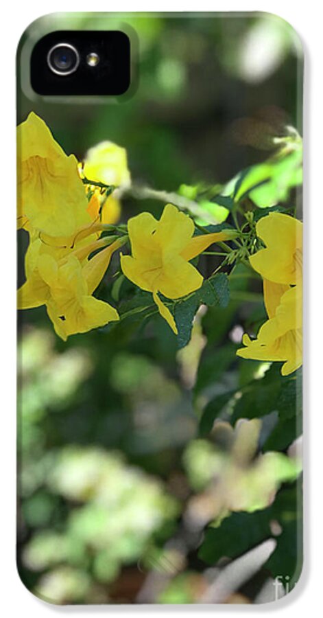 Yellow Bells - Phone Case