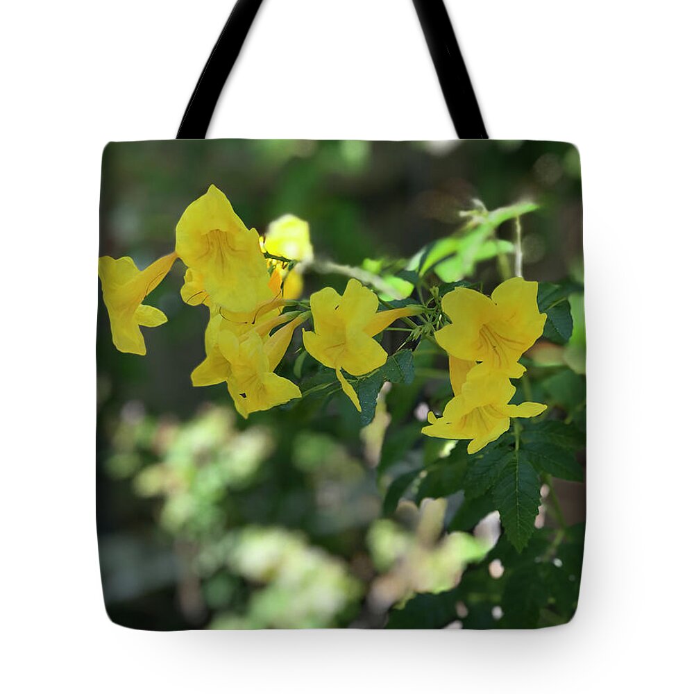 Yellow Bells - Tote Bag