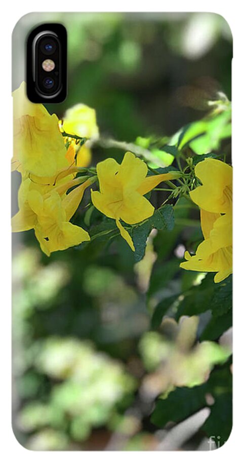 Yellow Bells - Phone Case