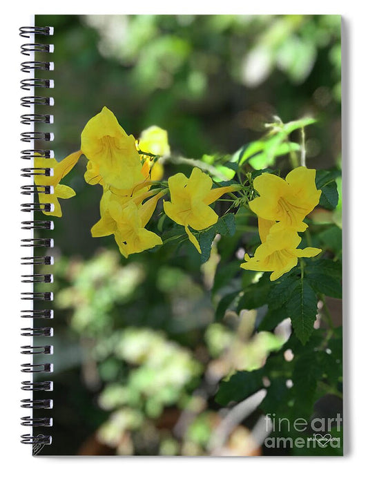 Yellow Bells - Spiral Notebook