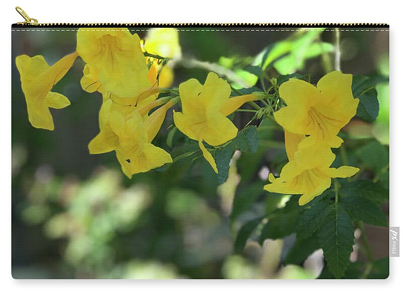 Yellow Bells - Zip Pouch