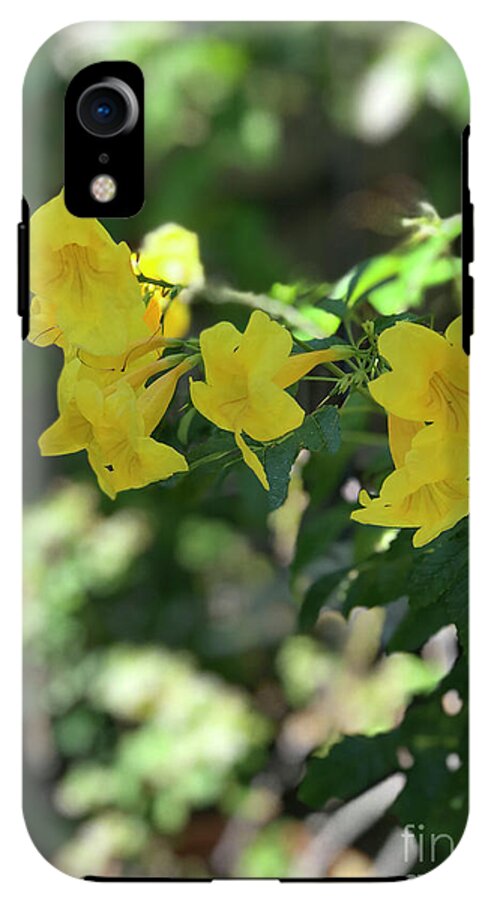 Yellow Bells - Phone Case