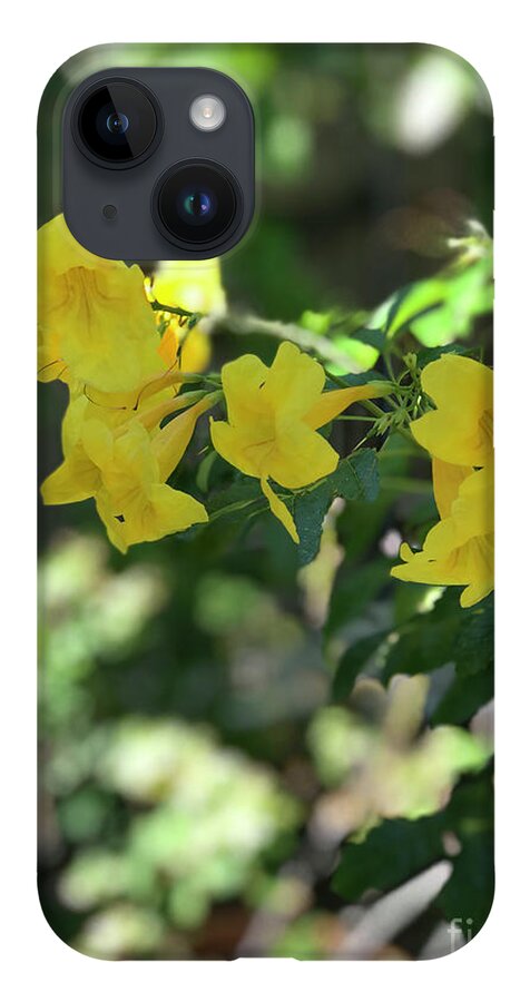 Yellow Bells - Phone Case