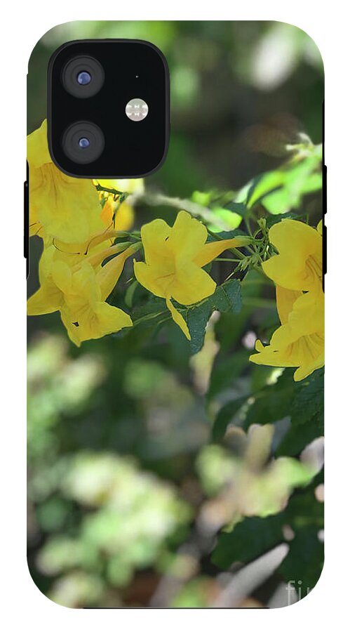 Yellow Bells - Phone Case