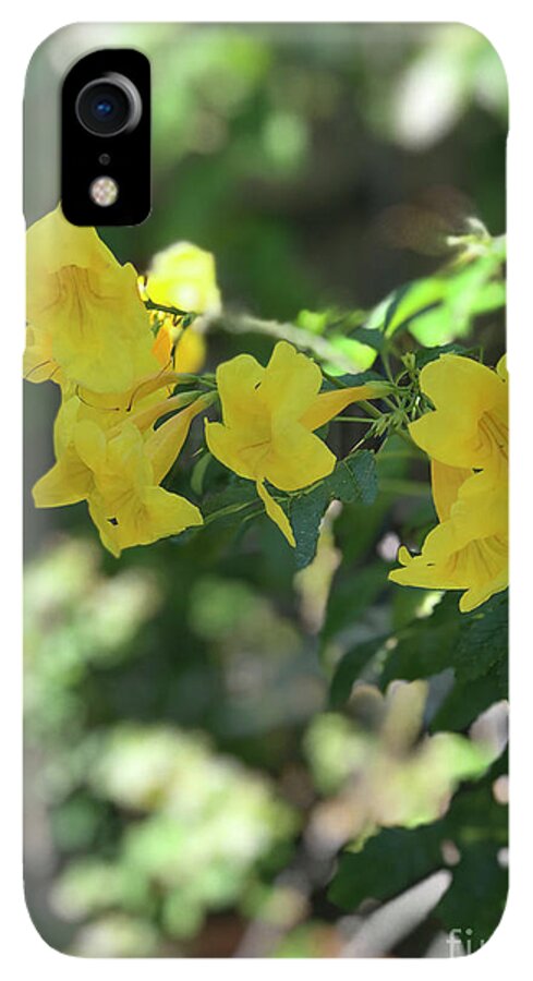 Yellow Bells - Phone Case