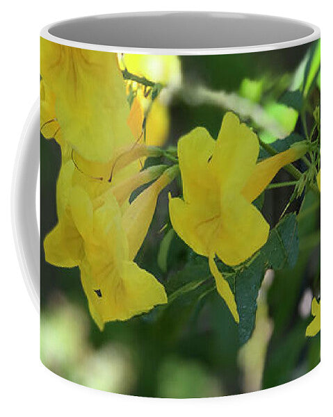 Yellow Bells - Mug