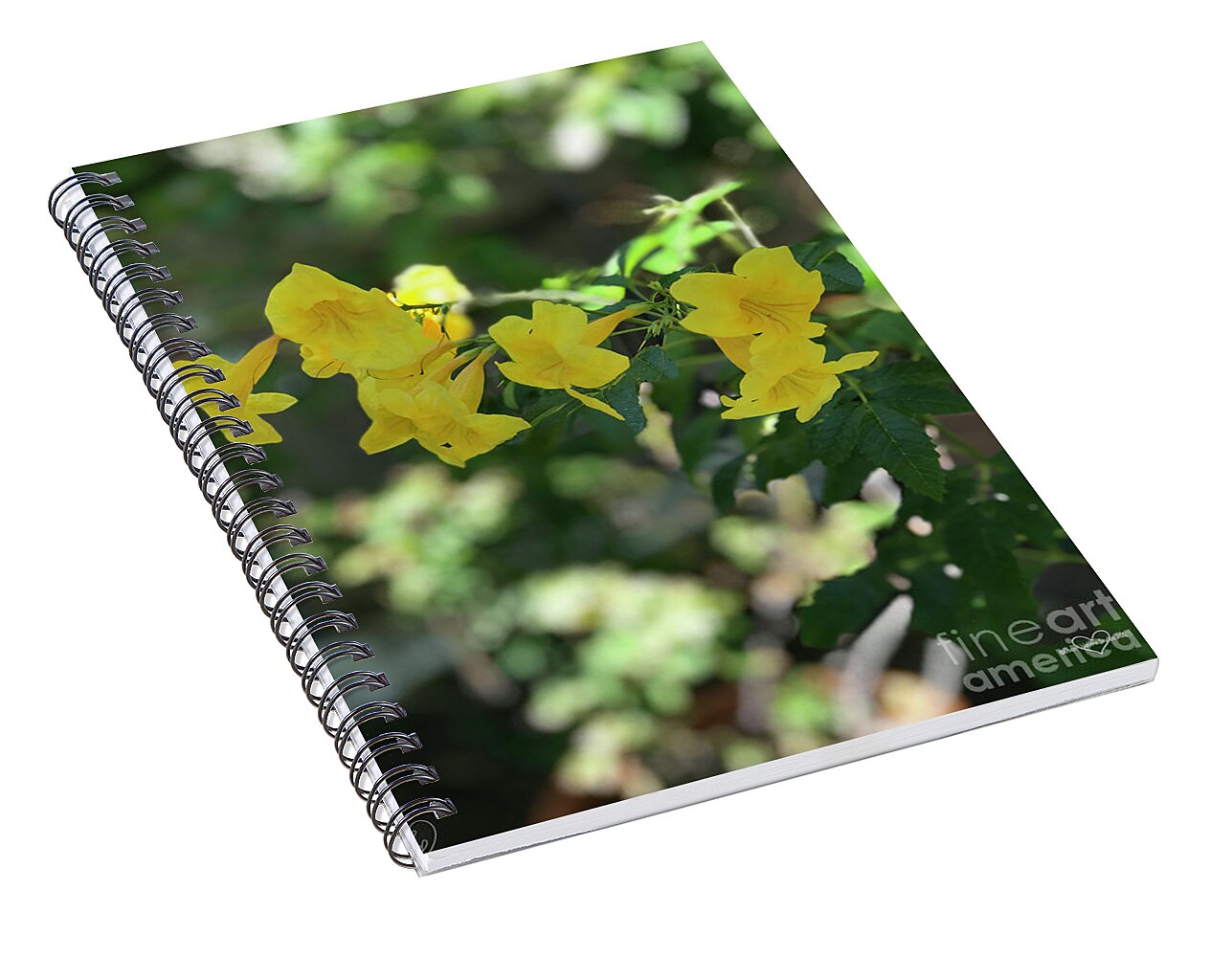 Yellow Bells - Spiral Notebook