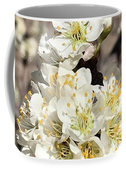 Apricot Blossoms - Mug