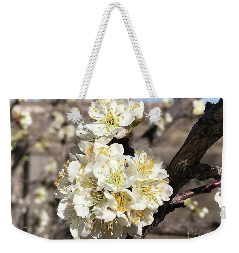 Apricot Blossoms - Weekender Tote Bag