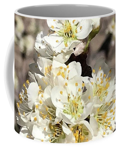 Apricot Blossoms - Mug