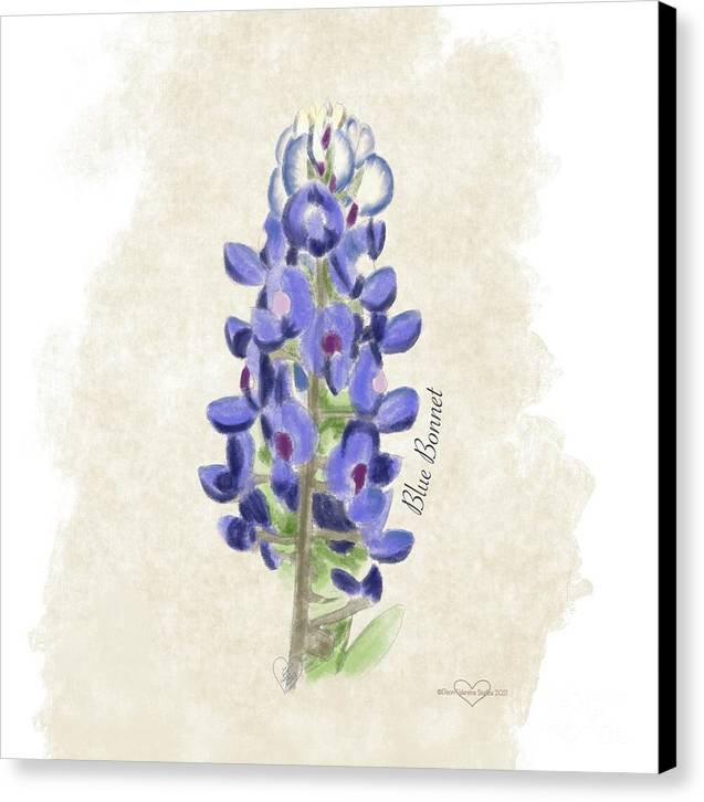 Blue Bonnet - Canvas Print