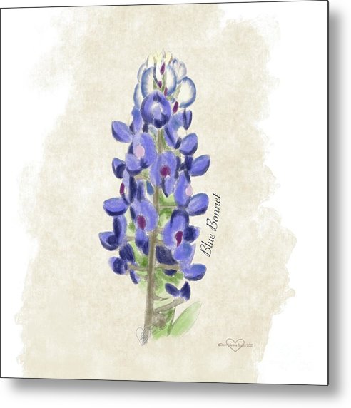 Blue Bonnet - Metal Print