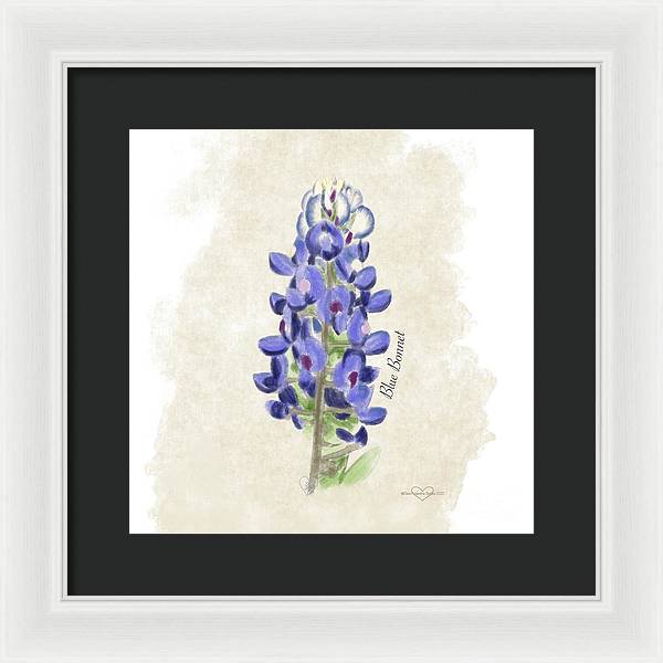 Blue Bonnet - Framed Print