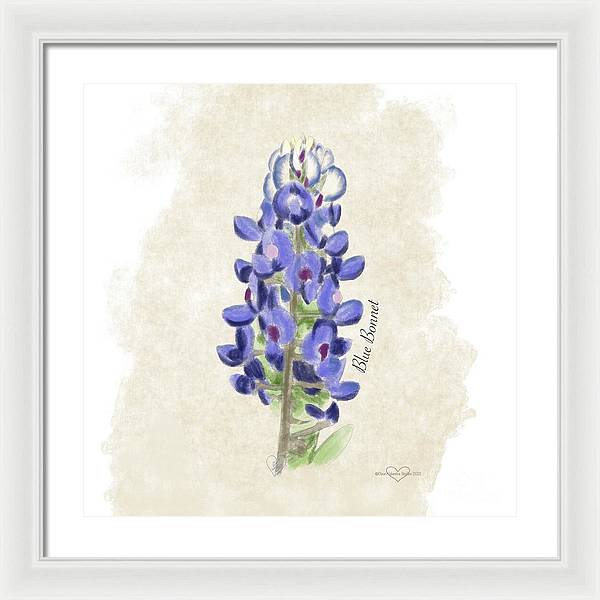 Blue Bonnet - Framed Print