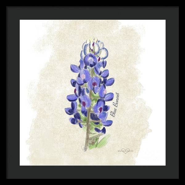 Blue Bonnet - Framed Print