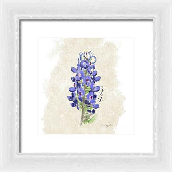 Blue Bonnet - Framed Print