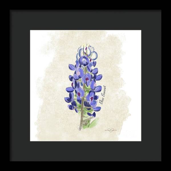 Blue Bonnet - Framed Print