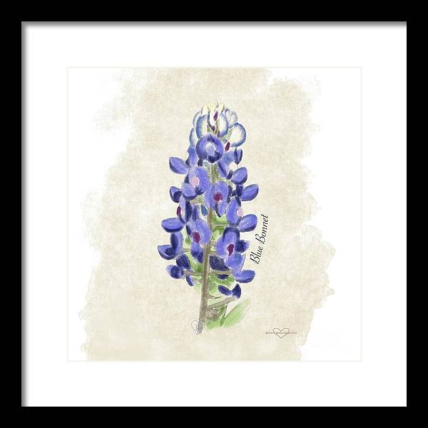 Blue Bonnet - Framed Print