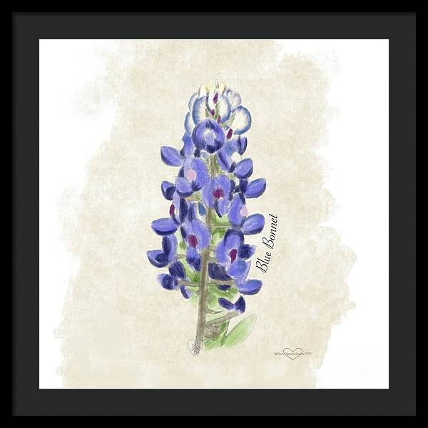 Blue Bonnet - Framed Print