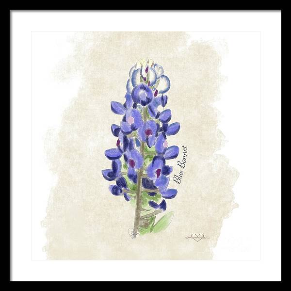 Blue Bonnet - Framed Print