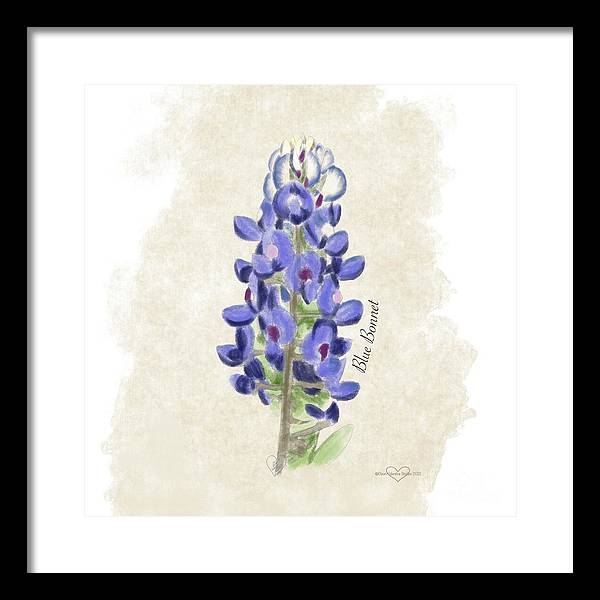 Blue Bonnet - Framed Print