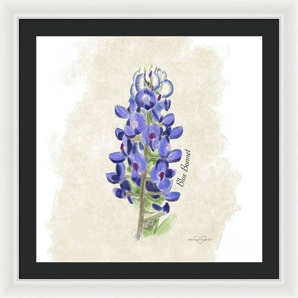 Blue Bonnet - Framed Print