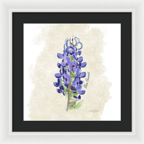 Blue Bonnet - Framed Print