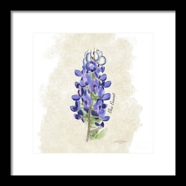 Blue Bonnet - Framed Print