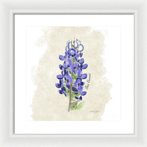 Blue Bonnet - Framed Print